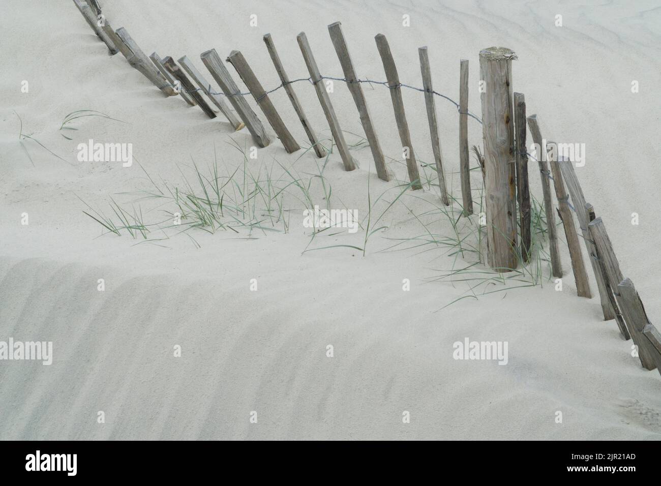 West Wittering, Großbritannien, 21. August 2022: Sand stapelt sich am Fuße der Sanddünen von West Wittering und überwältigt einen alten Holzzaun. Neueres Kunststoffgewebe Stockfoto