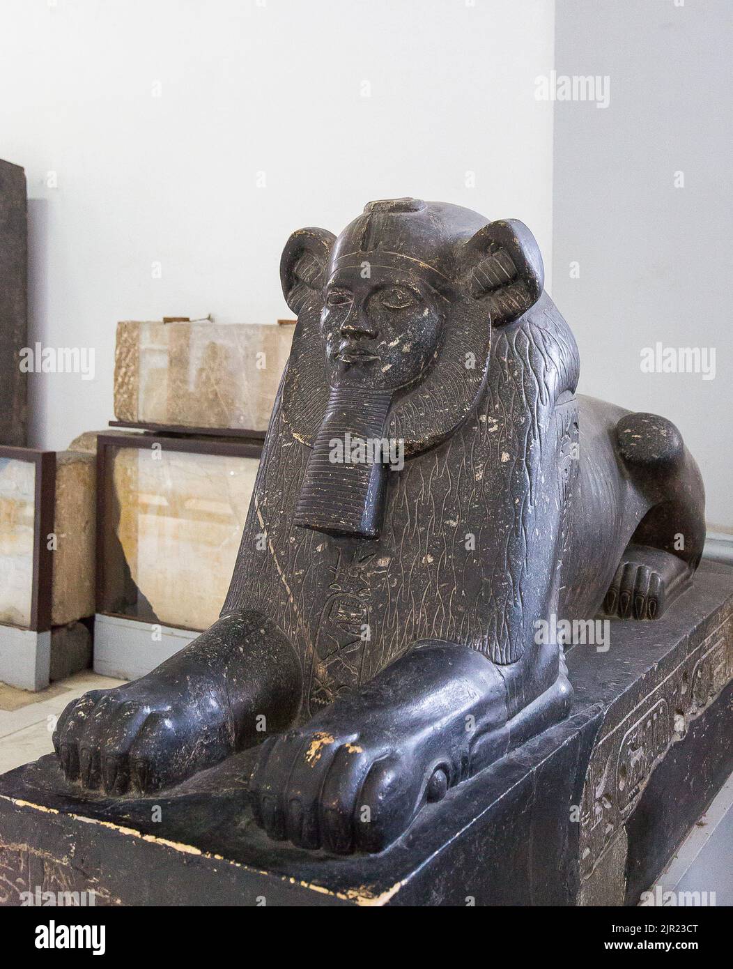 Kairo, Ägyptisches Museum, Sphinx von Amenemhat III, später usurpiert, in Tanis gefunden. Relativ ungewöhnlich, da sein Kopf Löwenmerkmale (Mähne) aufweist. Stockfoto