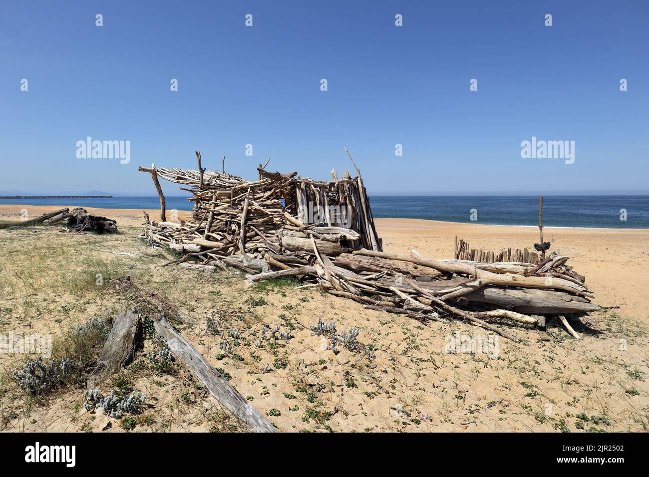 Struktur aus Driftwood an einem ruhigen Sandstrand, Capbreton, Landes, Südwesten, Frankreich gebaut Stockfoto