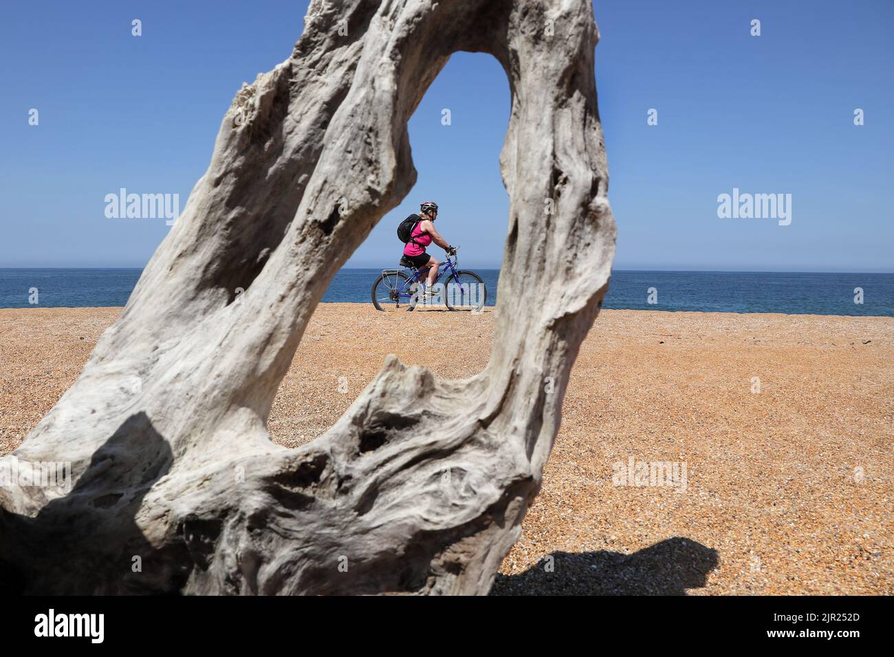Radler an einem einsamen Sandstrand, eingerahmt von einem verwitterten Stück Treibholz, Capbreton, Frankreich Stockfoto