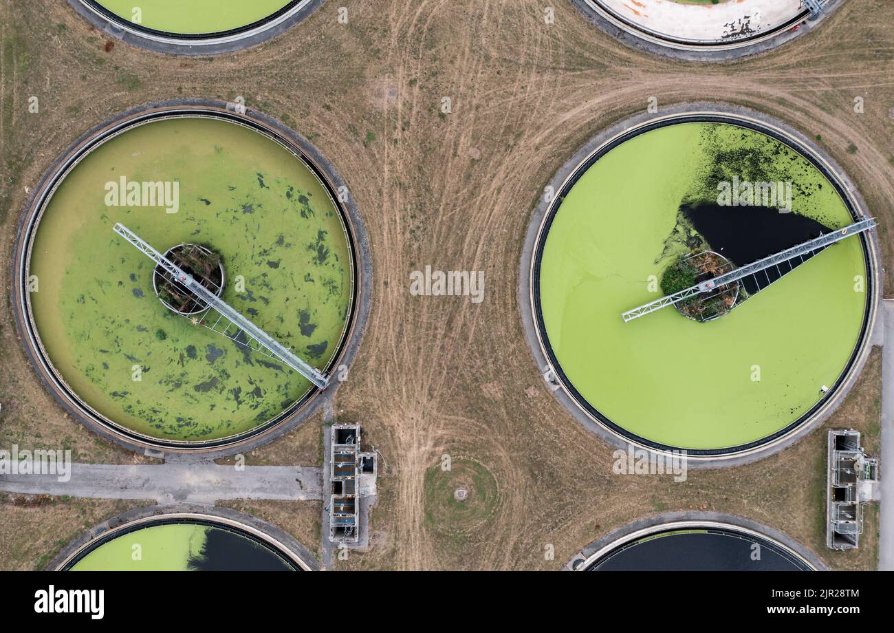 Eine Luftaufnahme direkt über einer Abwasseraufbereitung arbeitet mit kreisförmigen Lagertanks, die Abwasser mit Grünalgen für Trinkwasser filtern Stockfoto
