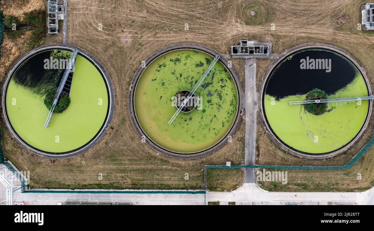 Eine Luftaufnahme direkt über einer Abwasseraufbereitung arbeitet mit kreisförmigen Lagertanks, die Abwasser mit Grünalgen für Trinkwasser filtern Stockfoto