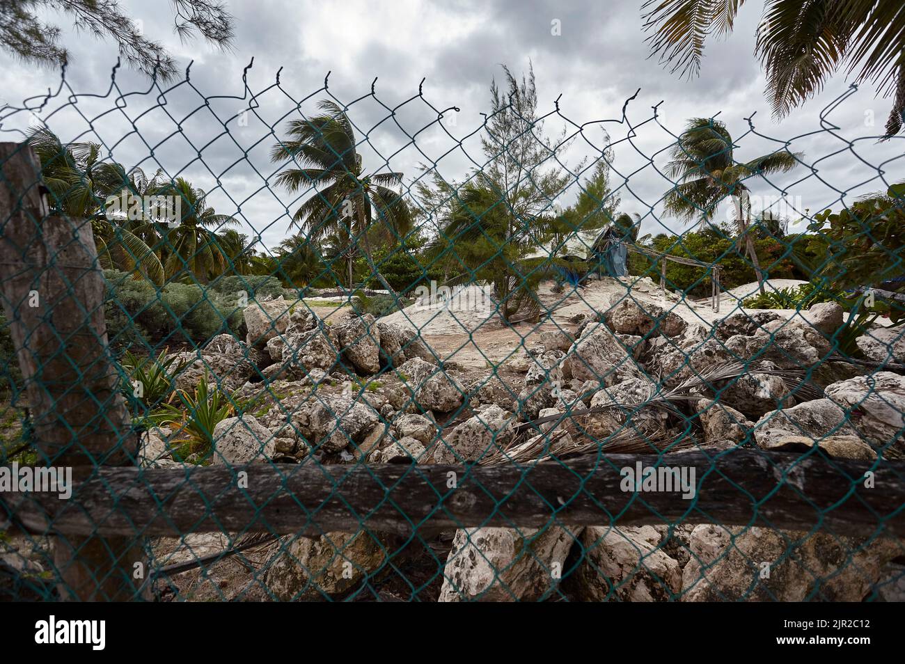 Netzzaun versperrt den Blick auf eine Naturlandschaft aus Felsen und Palmen. Stockfoto