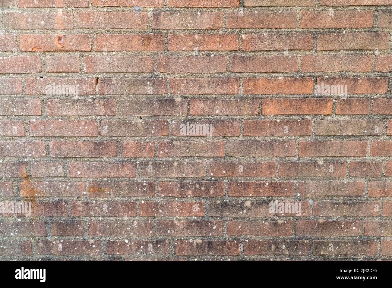 Detailreiche Erfassung von Ziegel und Zement in einer Wand.geeignet als Hintergrund oder Tapete. Stockfoto