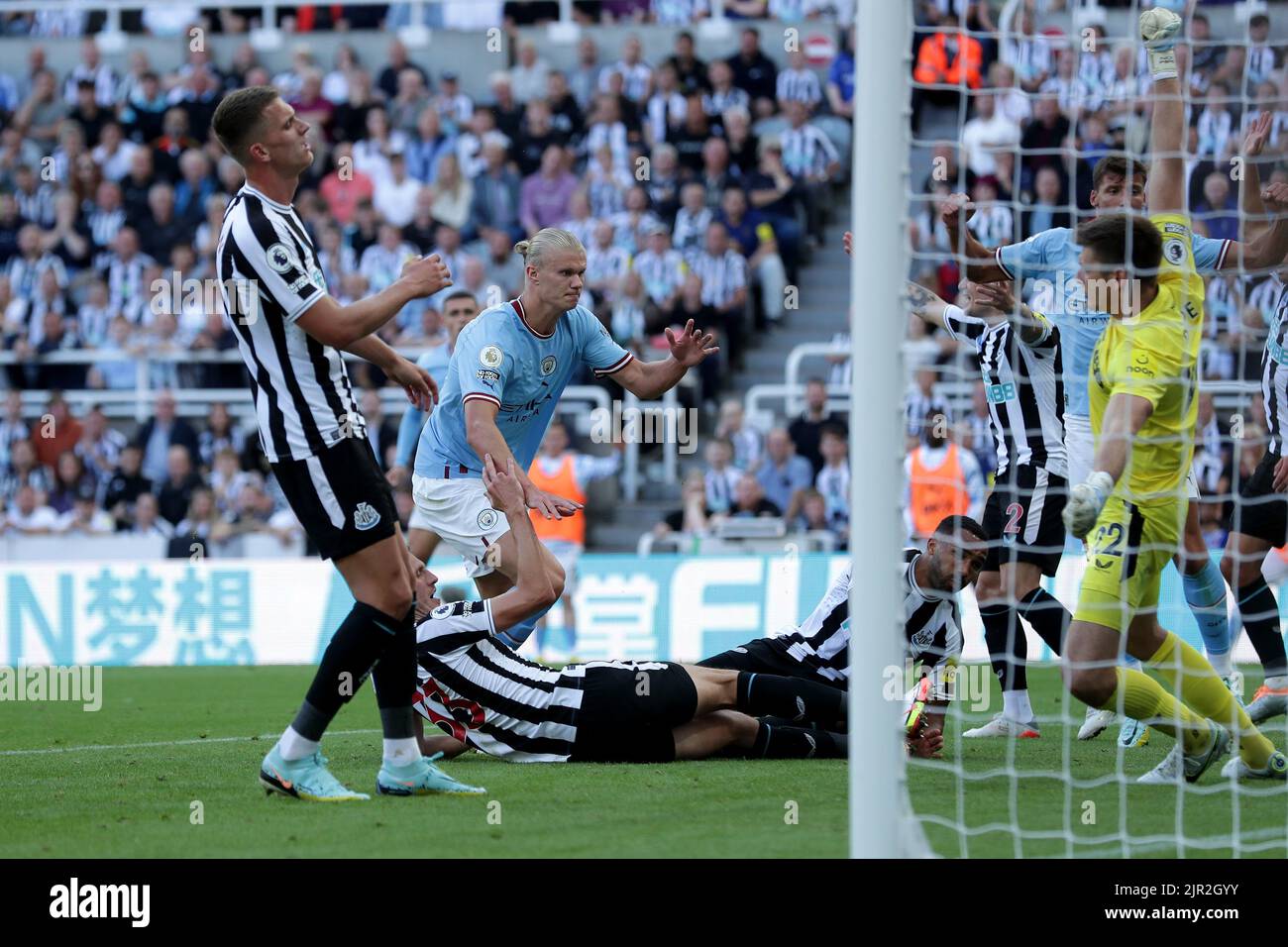 NEWCASTLE, GROSSBRITANNIEN, 21/08/2022, ERLING HAALAND SCORES, MANCHESTER CITY FC, 2022Credit: Allstar Picture Library/ Alamy Live News Stockfoto