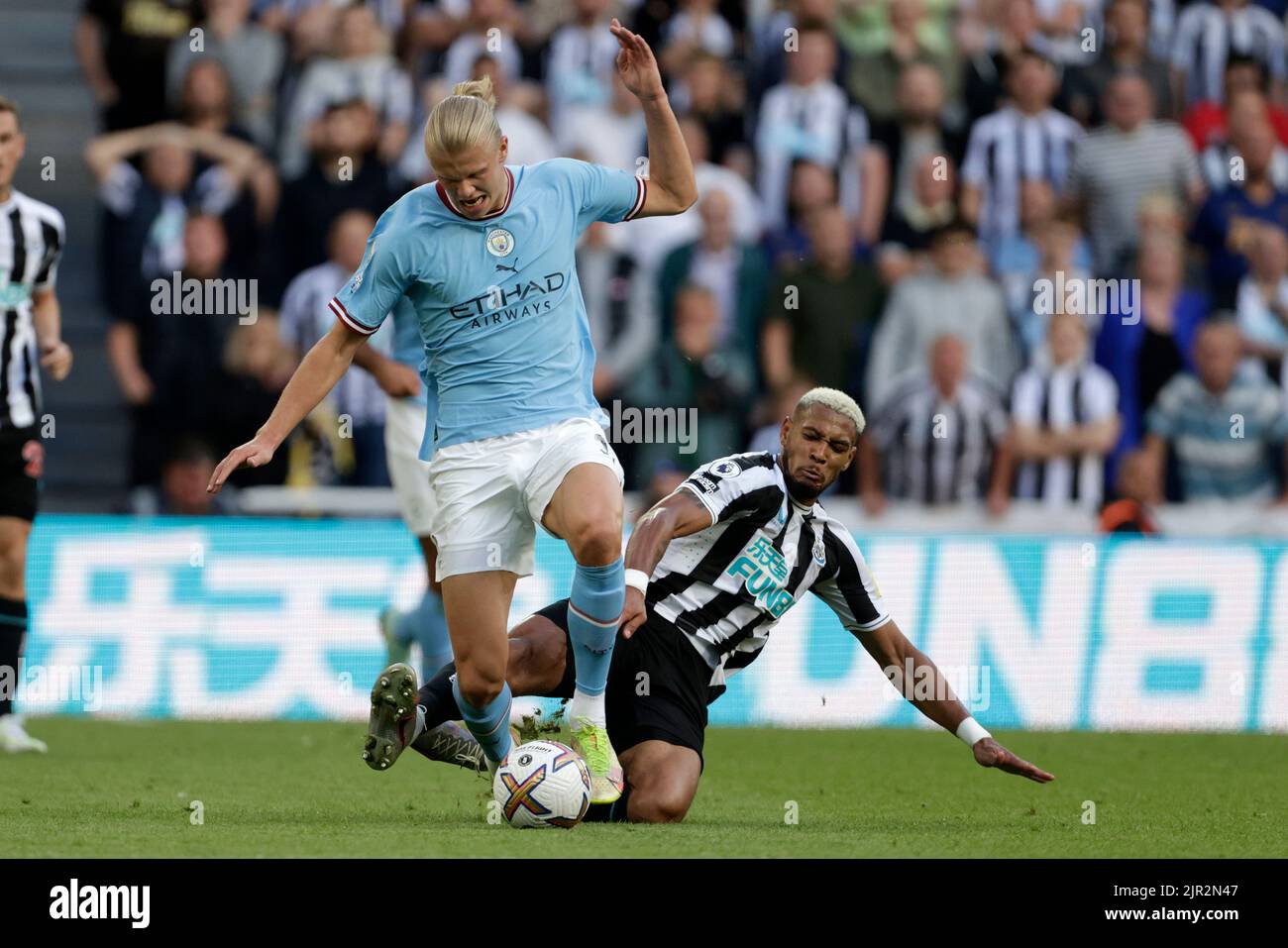 Newcastle, UK, 21/08/2022, ERLING HAALAND IN ANGRIFF GENOMMEN VON NEWCASTLE UNITED'S JOELINTON, NEWCASTLE UNITED FC V MANCHESTER CITY FC, 2022Credit: Allstar Picture Library/ Alamy Live News Stockfoto