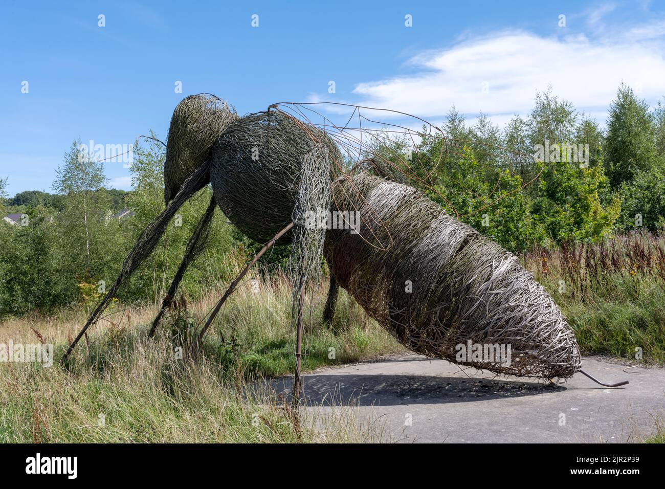 Riesige Skulptur einer Biene im RHS Garden Harlow Carr, Beckwithshaw, Harrogate, Yorkshire, England, UK Stockfoto
