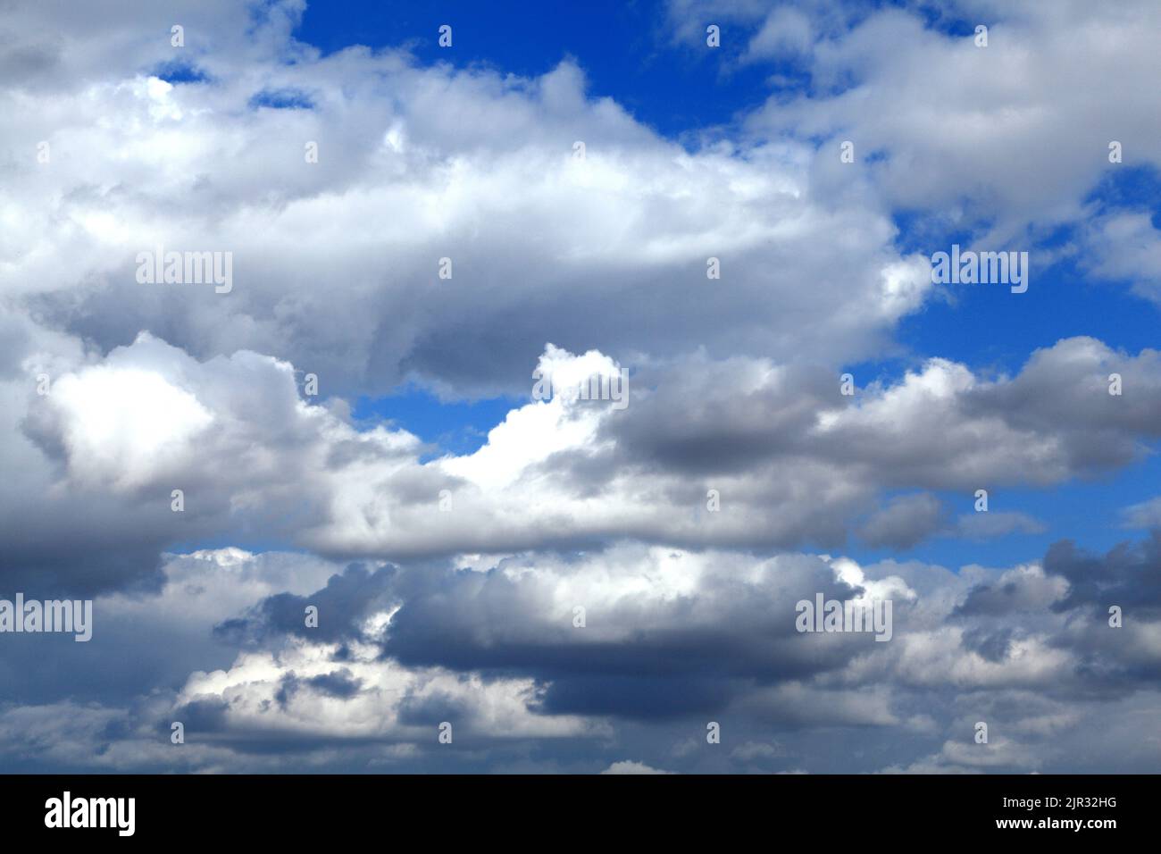 Weiße Cumuluswolken, graue Wolken, blauer Himmel, dramatischer, turbulenter Himmel, Himmel, Wetter, Meteorologie, England, Großbritannien Stockfoto