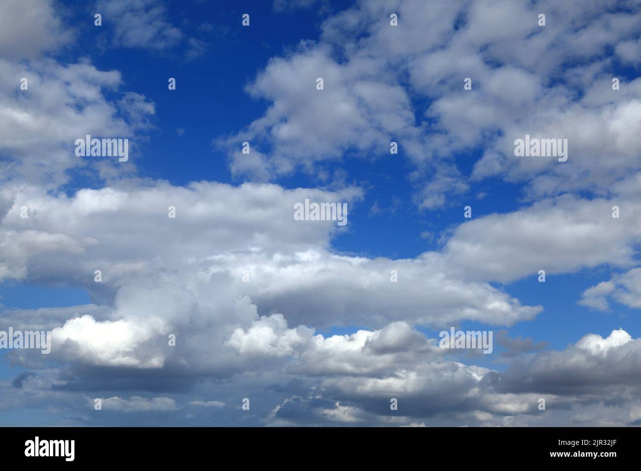 Weiße Cumuluswolken, graue Wolken, blauer Himmel, dramatischer, turbulenter Himmel, Himmel, Wetter, Meteorologie, England, Großbritannien Stockfoto