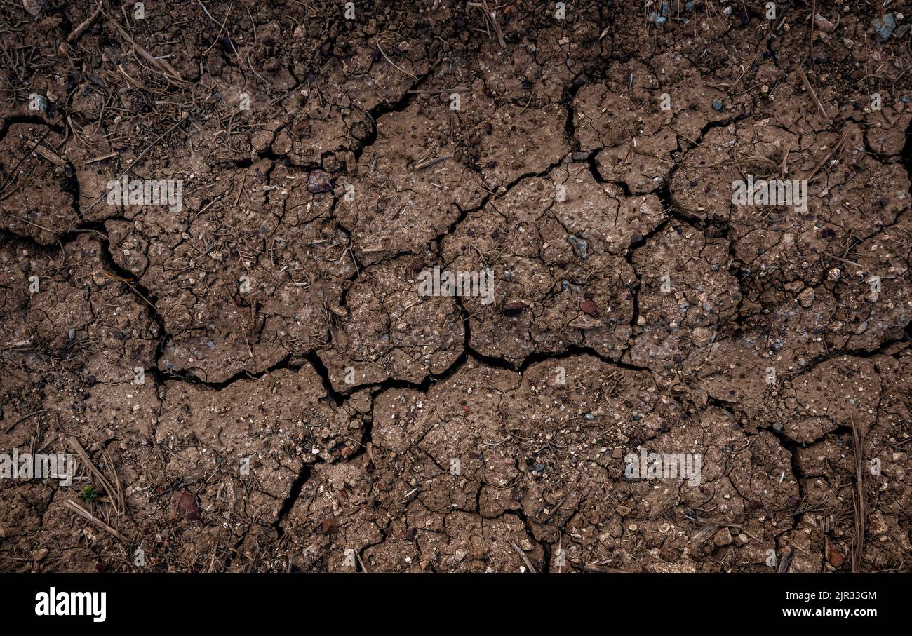 Hintergrundentwurf. Getrocknete rissige Oberfläche des landwirtschaftlichen Feldes, Blick von oben Stockfoto
