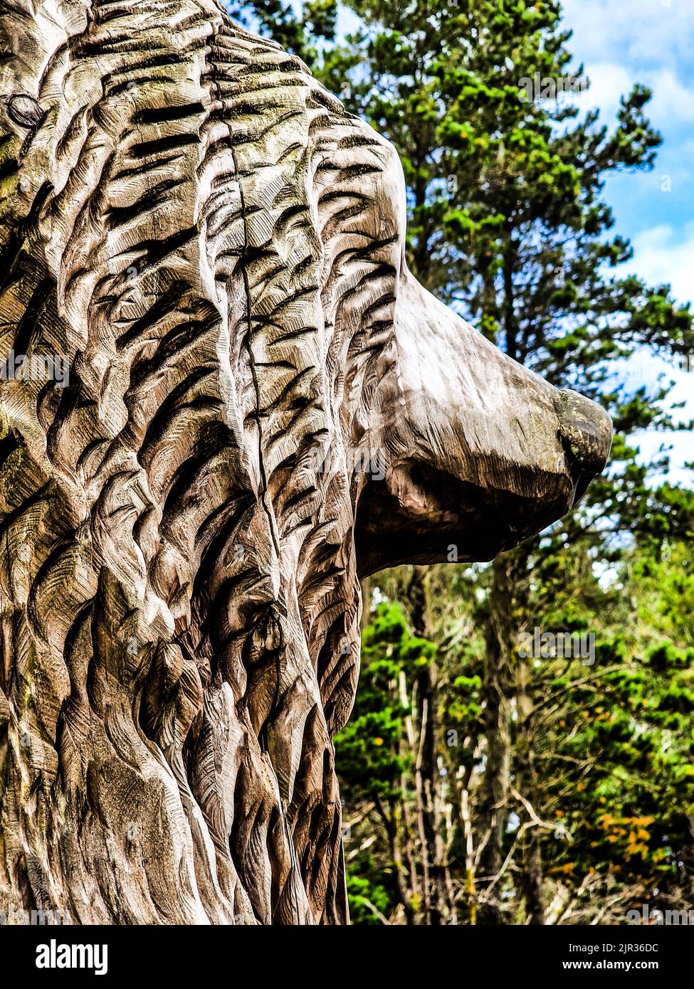 Statue von Herkules, dem Bären in den Langass Woods auf North Uist Stockfoto