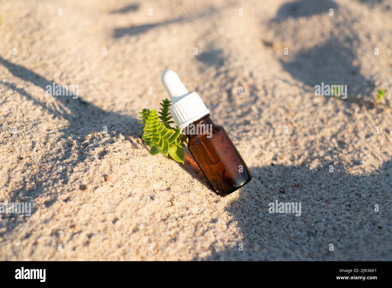 Flasche ätherisches Öl an einem Sandstrand mit einer kleinen grünen Pflanze. Kleine braune Medizinflasche im Hintergrund der Natur. Hanföl aus biologischem CBD. Stockfoto