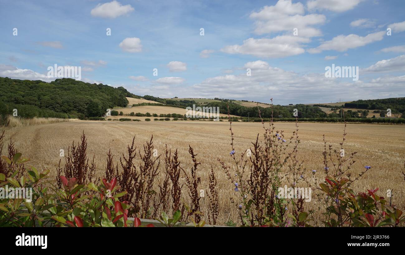 Hull, East Yorkshire Landscape Stockfoto