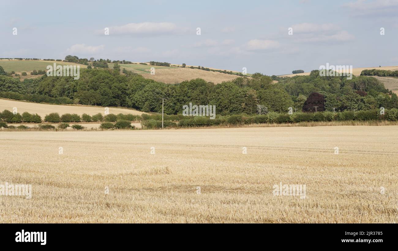 Hull, East Yorkshire Landscape Stockfoto