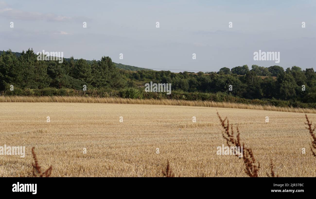 Hull, East Yorkshire Landscape Stockfoto