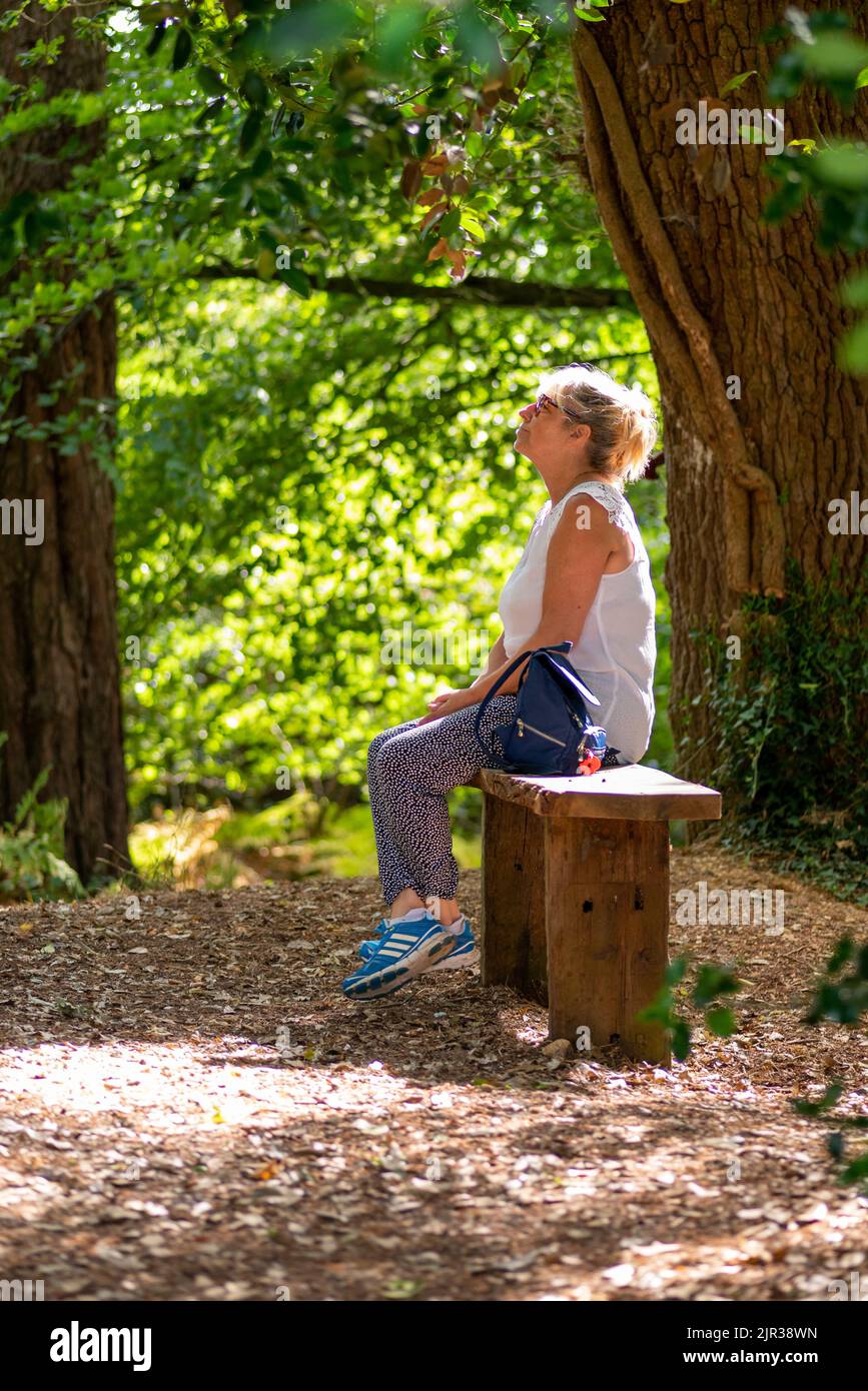 Nachdenkliche Frau, die in warmem Sonnenschein auf einer Bank im Wald sitzt Stockfoto