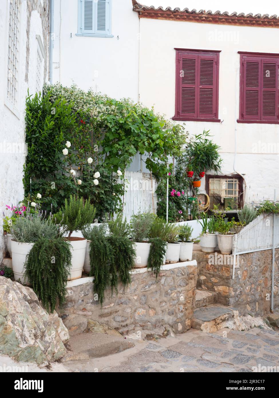 Hübscher Garten und Pflanztöpfe vor einem Haus mit Fensterläden in Hydra, Griechenland Stockfoto