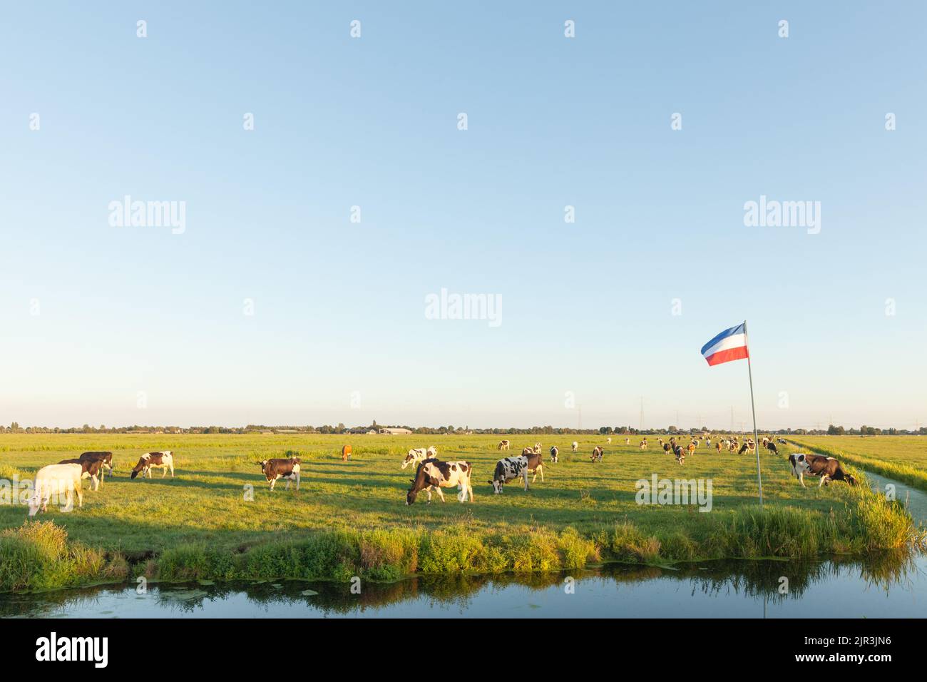 Die niederländische Nationalflagge steht auf dem Kopf in Ackerland als Symbol für den Protest der Landwirte gegen den Protest der Regierung gegen die Reduzierung der Tierhaltung und die Stickstoffpolitik Stockfoto