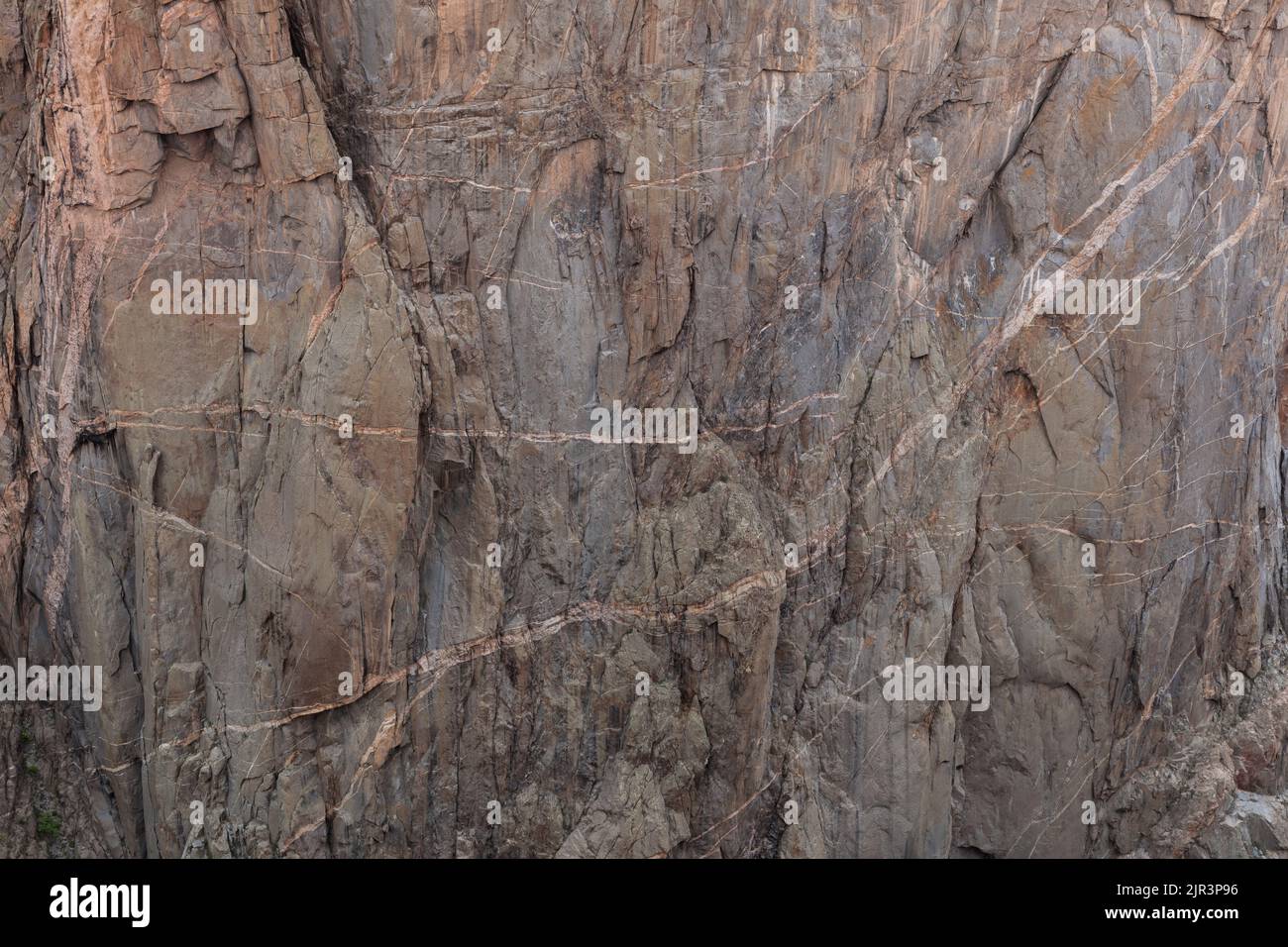 Detail einer steilen Mauer mit Pegmatitenvenen vom Chasm View Overlook, Black Canyon im Gunnison National Park, Colorado Stockfoto