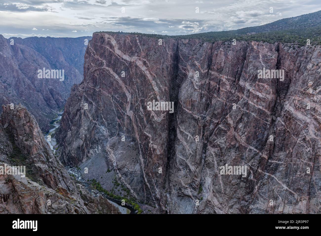 Präkambrianischer Gneis und Schistfelsen mit Pegmatitenvenen, Painted Wall, Black Canyon im Gunnison-Nationalpark, Colorado Stockfoto