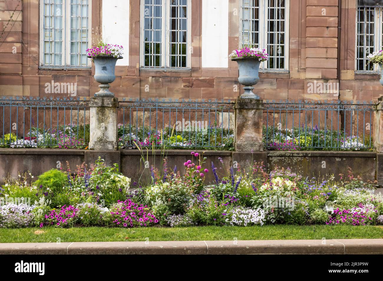 Blumen vor einem Gebäude, Place Broglie, Straßburg, Frankreich Stockfoto