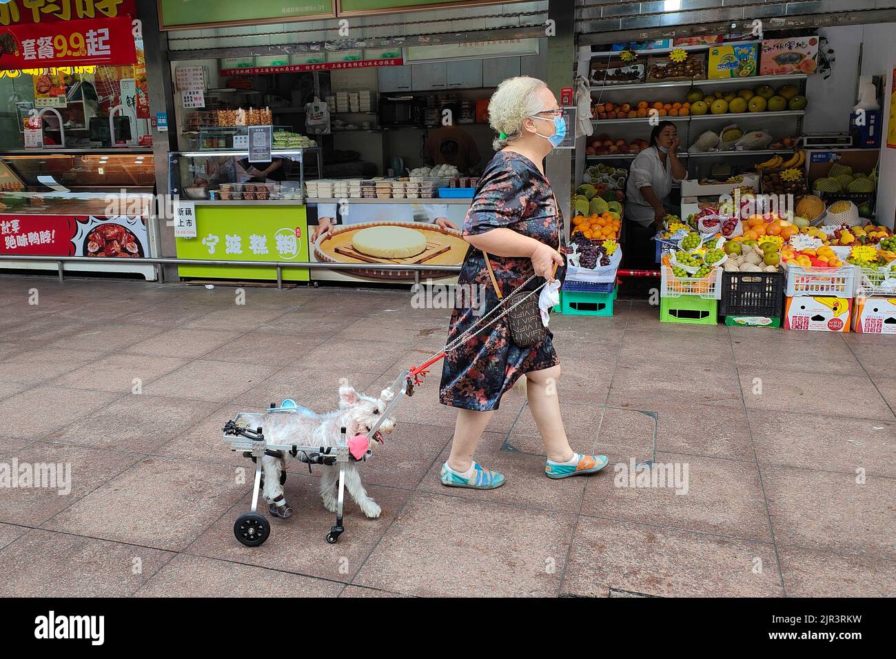 SHANGHAI, CHINA - 21. AUGUST 2022 - Eine Großmutter geht mit ihrem Hund auf einer Straße in Shanghai, China, 21. August 2022. Der 16-jährige Schnauzer kann umherkommen Stockfoto