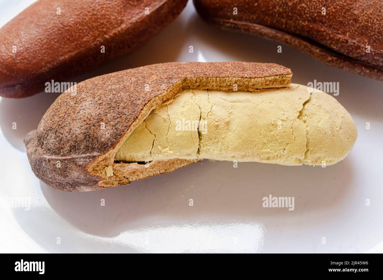 Nahaufnahme der Heuschrecke (Hymenaea Courbaril) Stockfoto