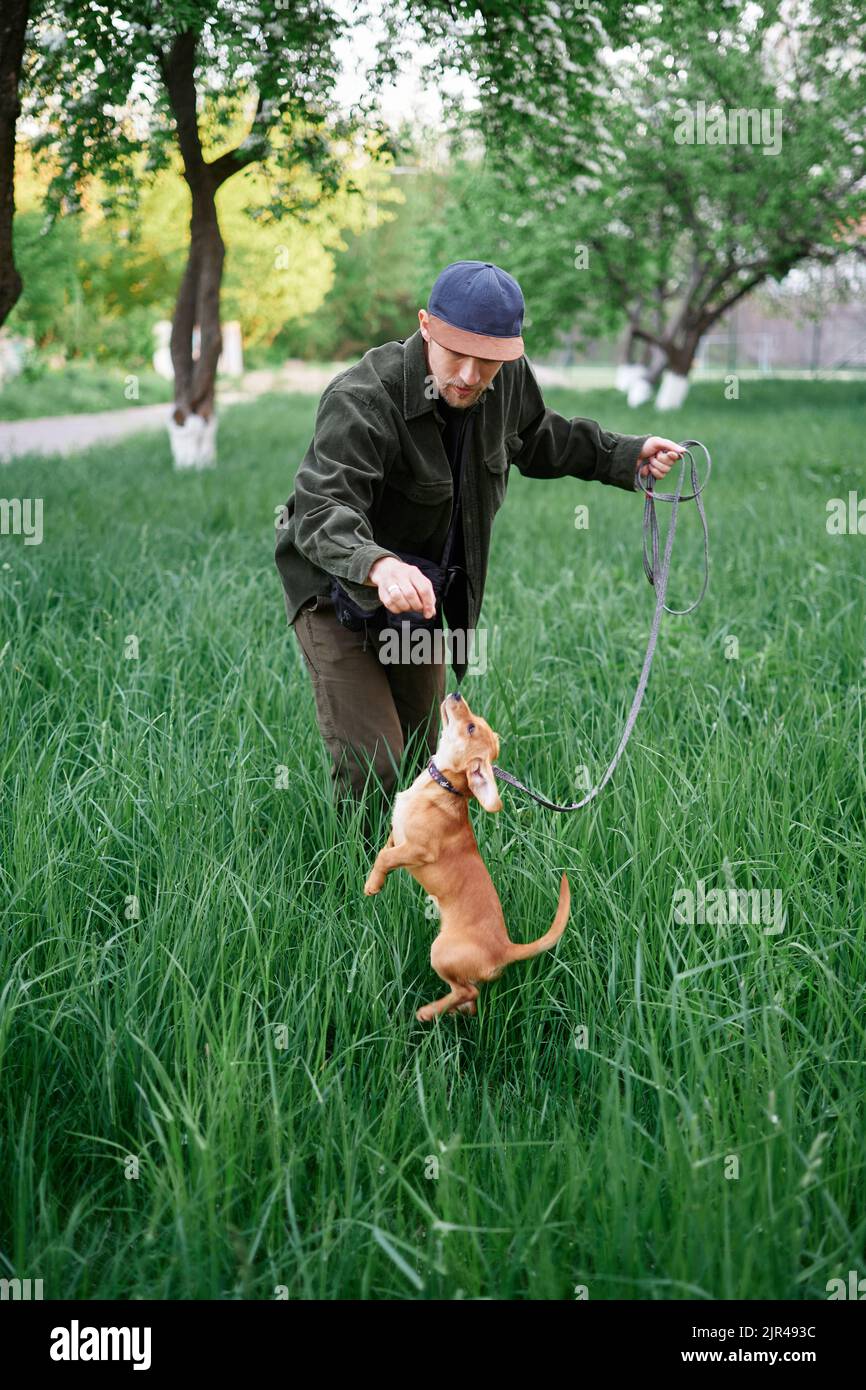 Hundeschulungskonzept. Attraktiver kaukasischer Mann in Baseballmütze, der auf einem Gras im Park steht und Dackel-Welpe springt auf. Junger Mann mit Dackel im Freien. Hochwertige Bilder Stockfoto