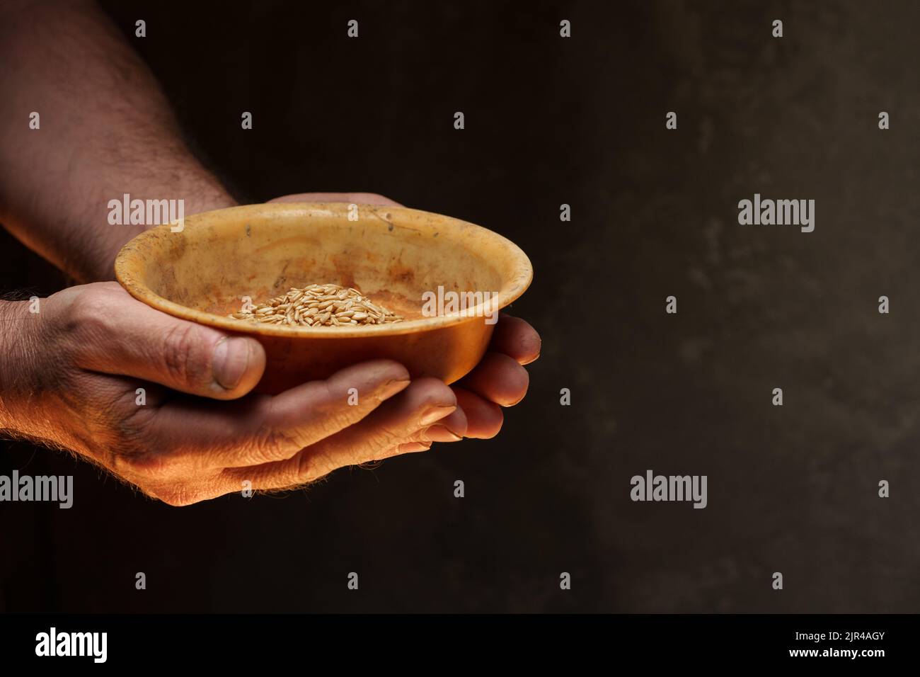Nahaufnahme der männlichen Hände, die eine kleine Menge Weizenkerne halten. Mangel an Nahrung und Hunger-Konzept Stockfoto