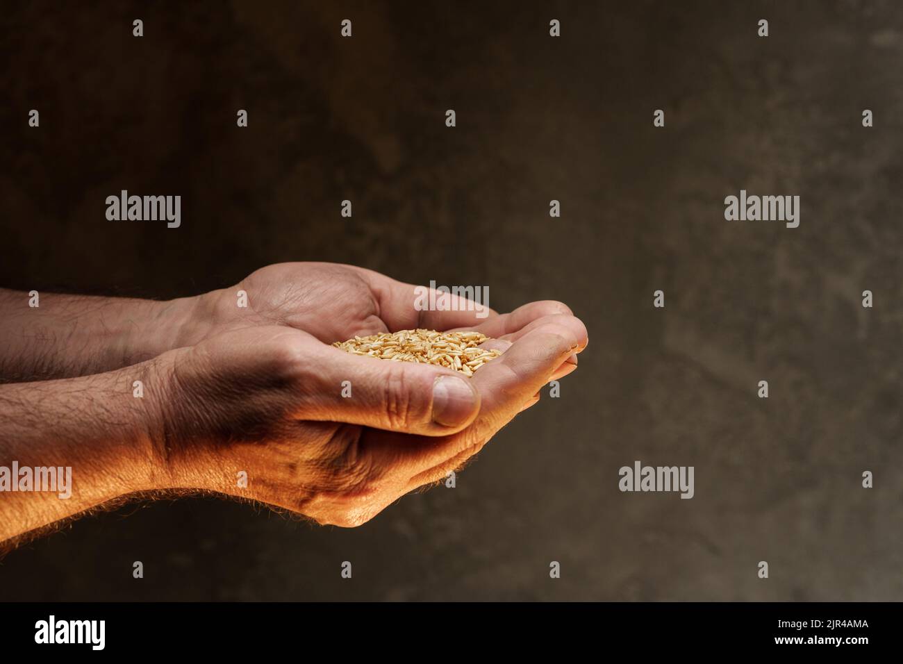 Nahaufnahme der männlichen Hände, die eine kleine Menge Weizenkerne halten. Mangel an Nahrung und Hunger-Konzept Stockfoto