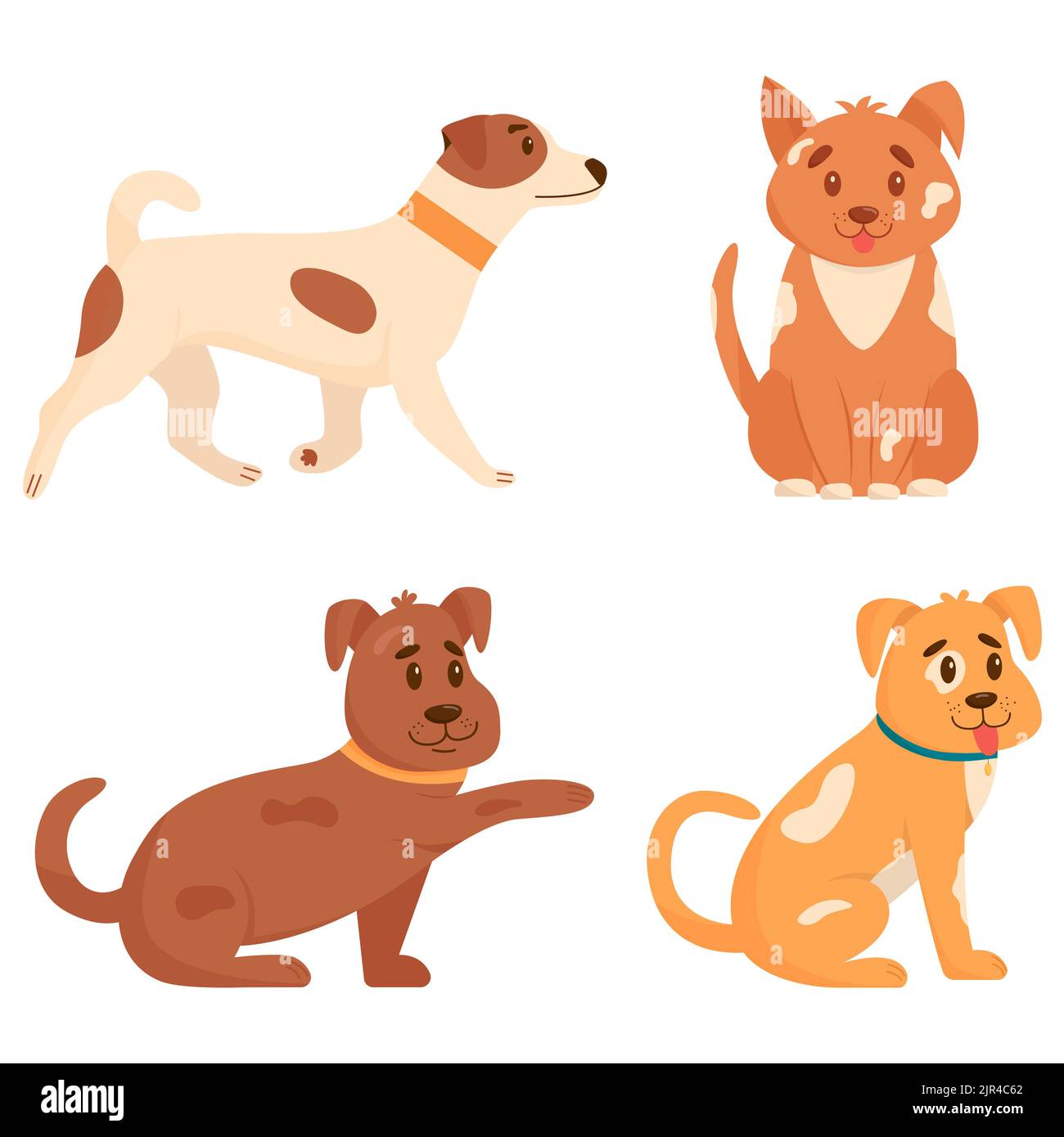 Set von niedlichen Hunden in verschiedenen Posen. Lustige Hunde auf weißem Hintergrund isoliert. Flache Vektorgrafik. Stock Vektor