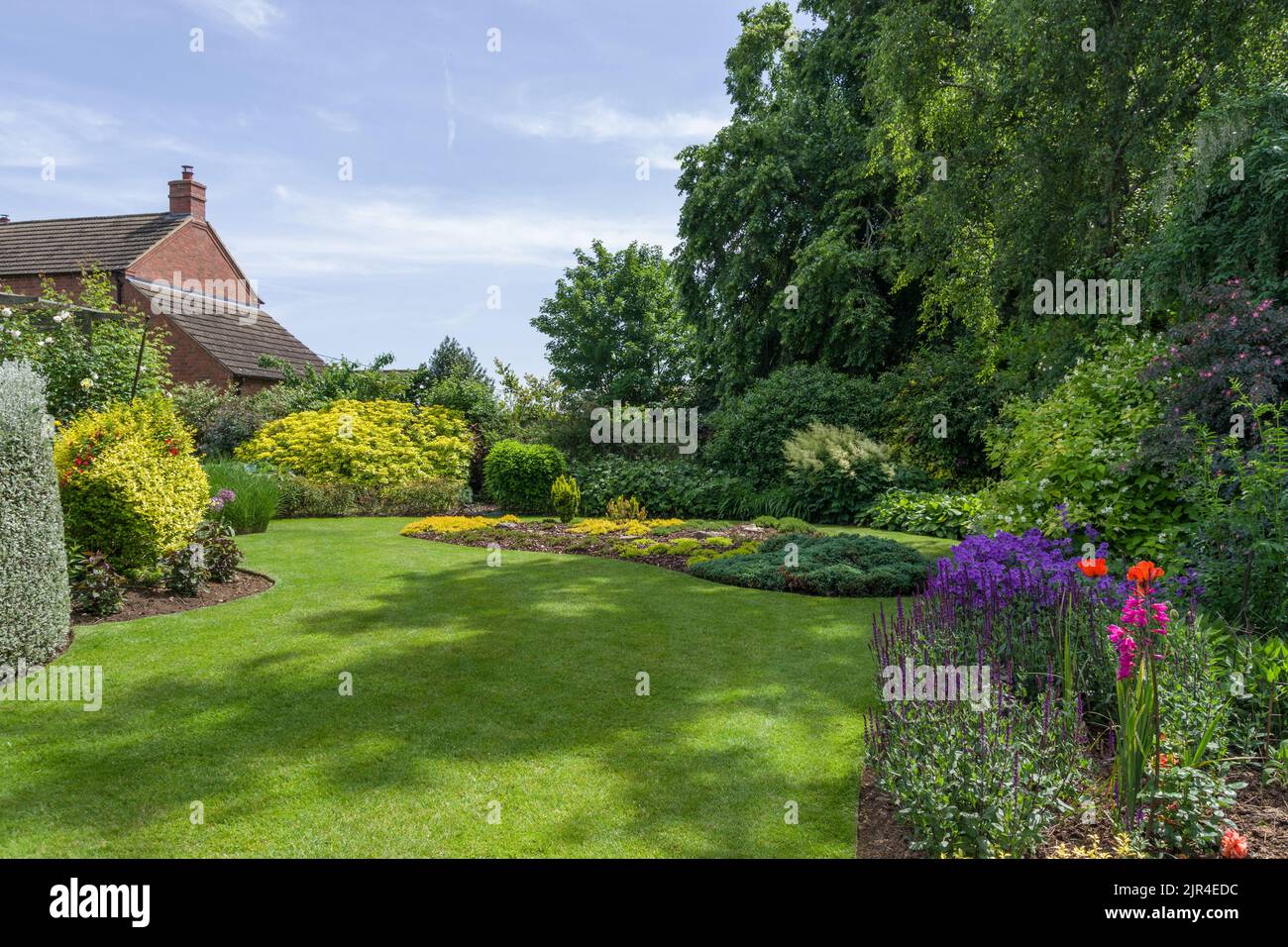 Typischer englischer Vorstadtgarten im Sommer, auf Rasen gelegt, krautige Ränder und Bäume, Gayton Village, Northamptonshire; Teil des offenen Gartenkonzepts Stockfoto