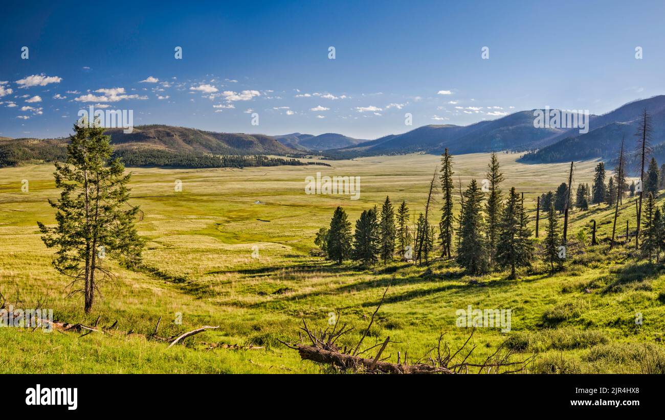 Valle Grande, Cerro del Medio auf der linken Seite, Cerro de los Posos in der Ferne, im Valles Caldera National Preserve, New Mexico, USA Stockfoto