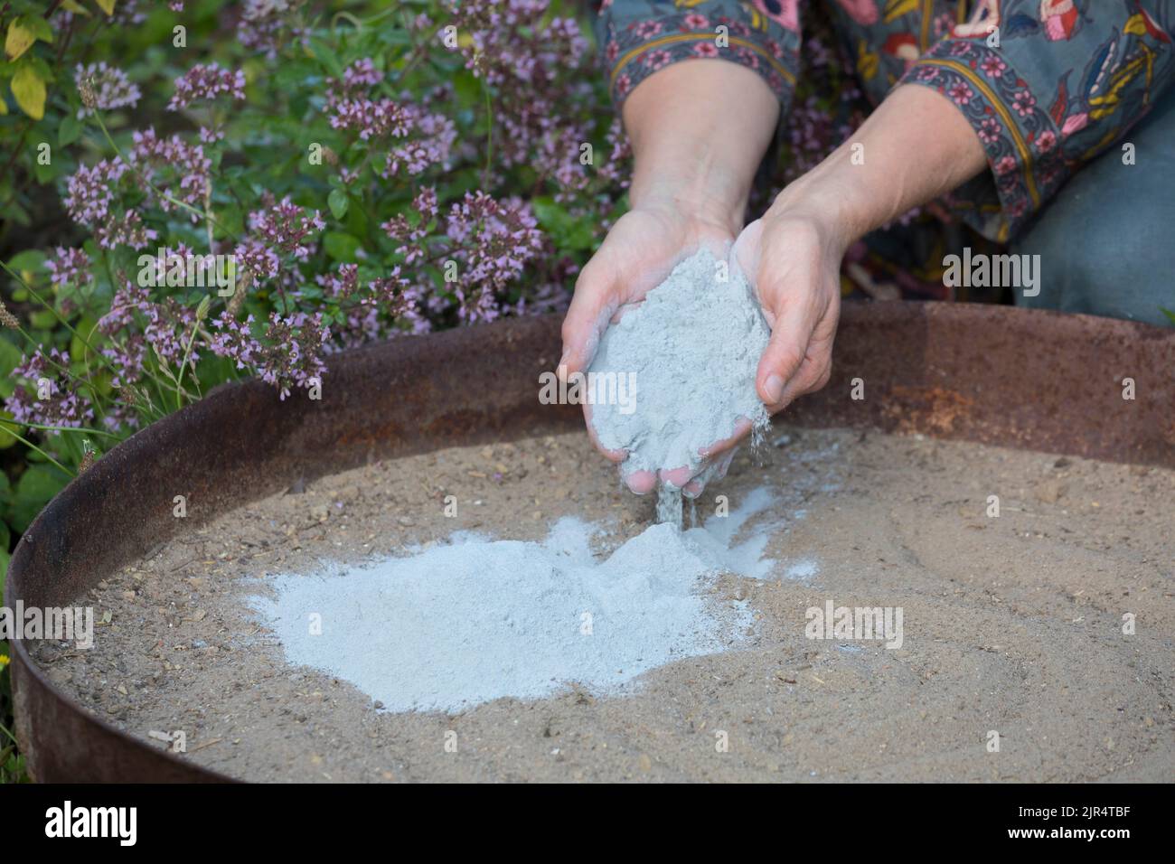 Machen Sie selbst ein Sandbad für Vögel im Garten Stockfoto