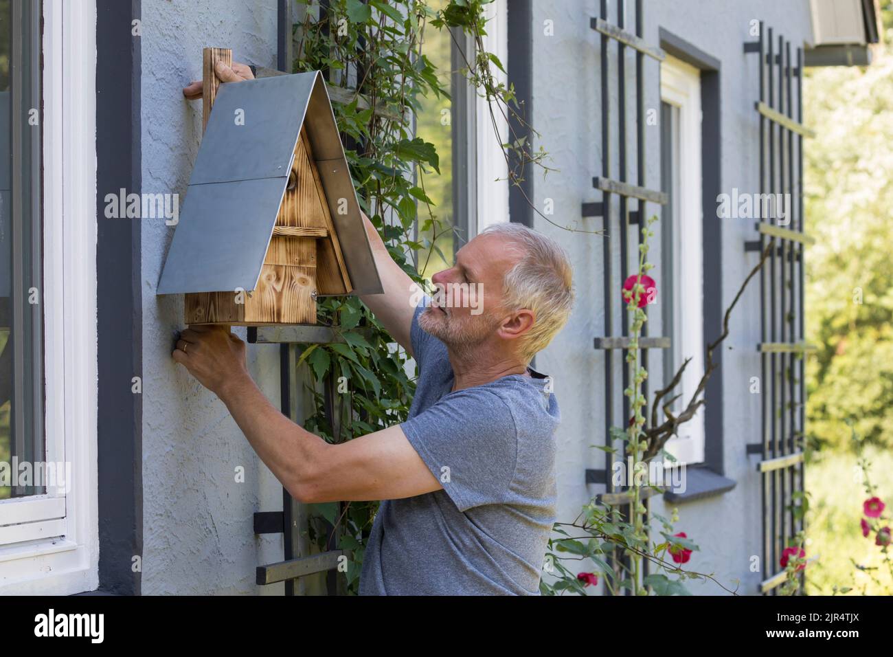 Mann hängt ein selbstgemachtes Vogelhaus an einer Fassade Stockfoto