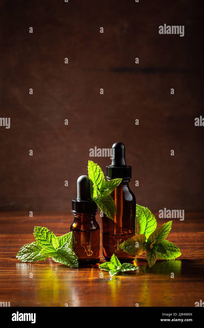 Frische Minze Pfefferminzkräuterblätter und ätherisches Öl in Tropfflaschen Stockfoto