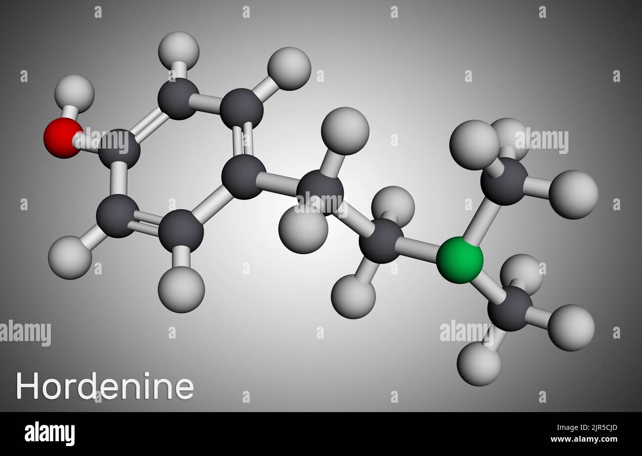 Hordenin, Dimethyltyramin-Klasse, Molekül. Es ist Phenethylamin Alkaloid, natürliches Produkt. Molekularmodell. 3D Rendern. Abbildung Stockfoto