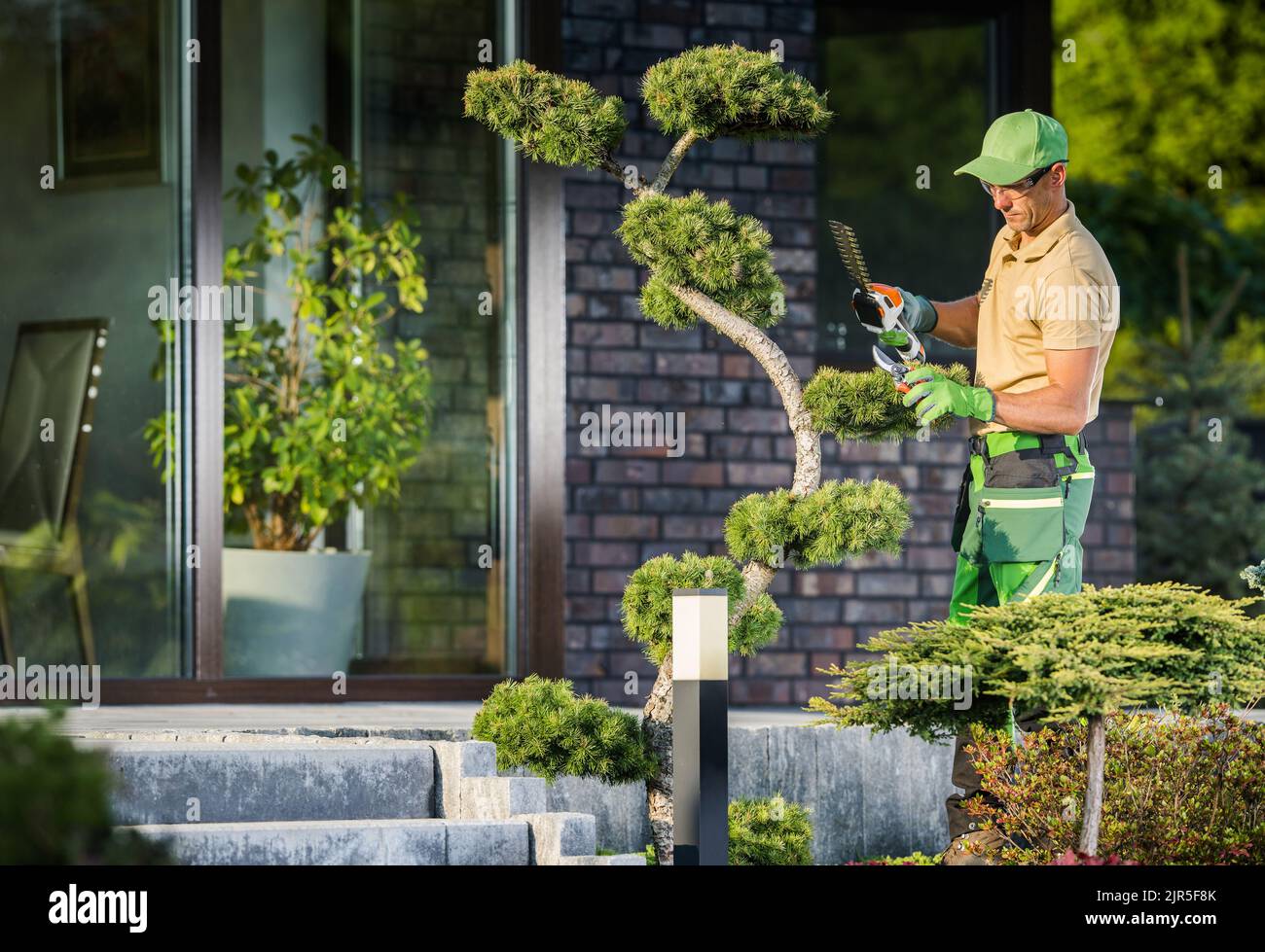 Professioneller baumschneider Fotos und Bildmaterial in hoher