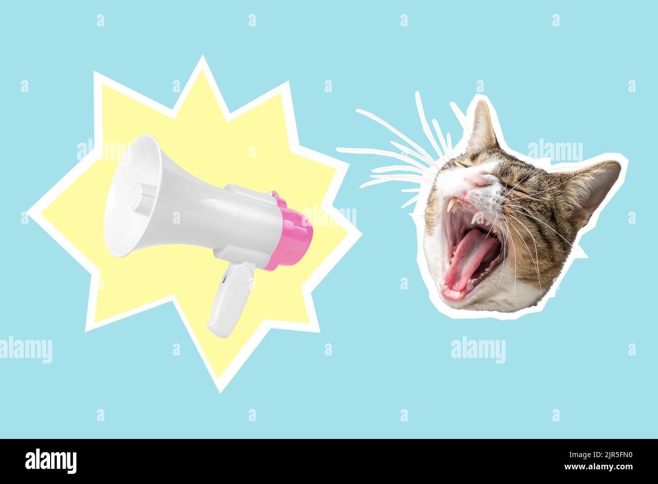 Katzenkopf mit weiß-rosa Megaphon, Collage Pop Art Concept Design. Minimaler Werbehintergrund. Stockfoto