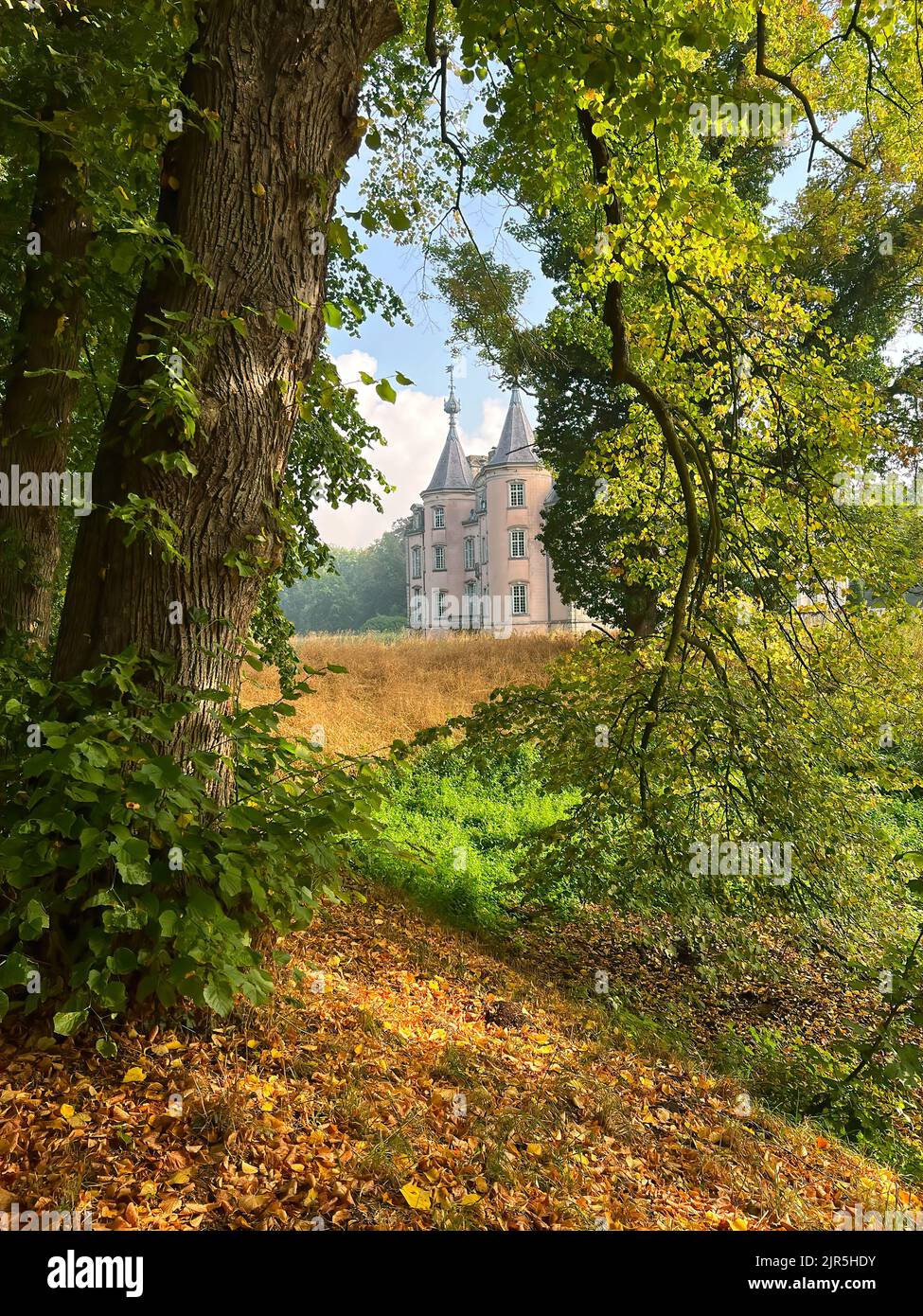 Vertikale farbenfrohe „Malerei – gleich“, aufgenommen auf dem historischen europäischen Schloss von Poeke, gesehen durch die überhängenden grünen Bäume und Blätter Stockfoto