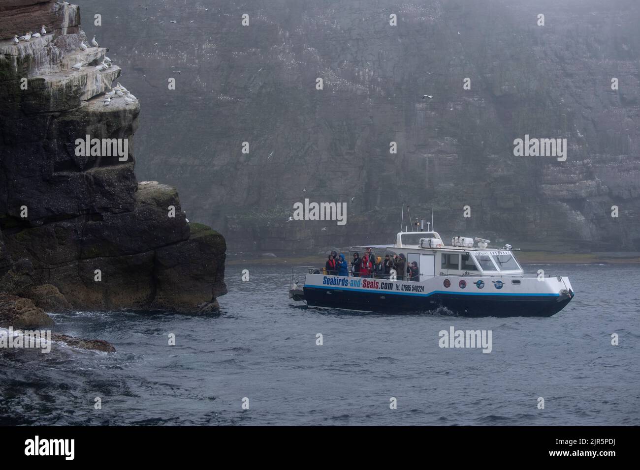 Touristenboot um die Klippen von Noss, NNR, Shetland. Stockfoto