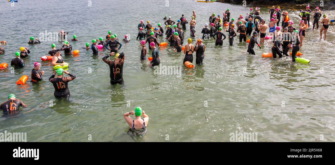 Große Gruppe von Menschen im Meer auf Wohltätigkeitsschwimmveranstaltung Stockfoto