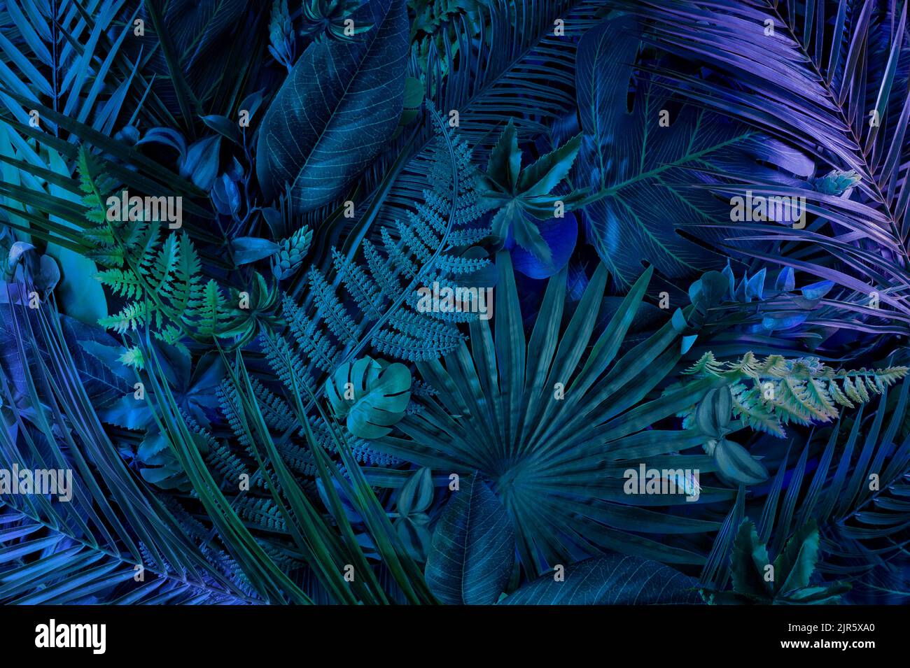 Abstrakter tropischer Hintergrund mit jungen grünen Palmenblättern. Flaches Lay mit Neonlicht in minimalistischem Stil. Stockfoto