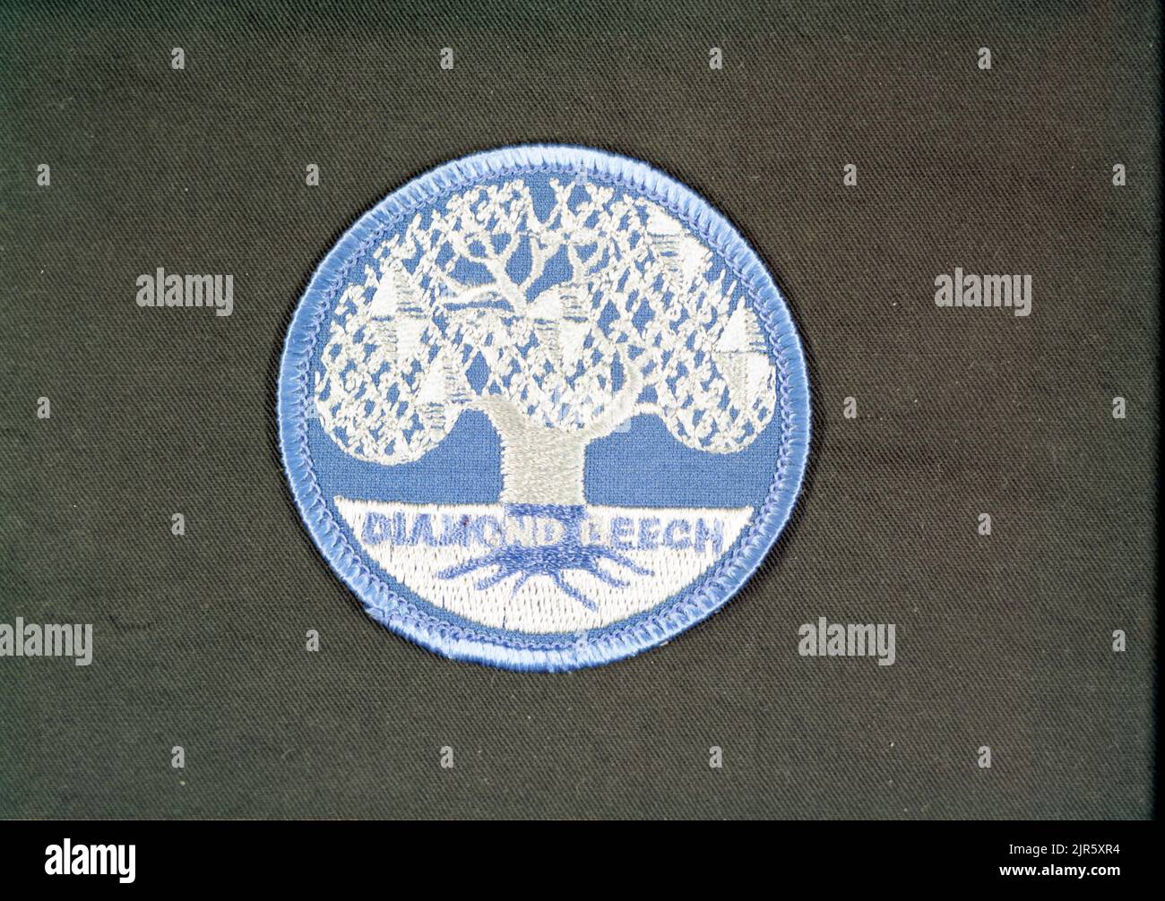 A850779 U12N DIAMANT-BUCHENLOGO DONOHOE (PROJEKTINGENIEUR) MAI 22 85 EG&G/NTS FOTOLABOR VERÖFFENTLICHUNGSDATUM: 5/22/1985 DECALS; DIAMANT-BUCHENHOLZ; EDGERTON, GERMESHAUSEN & GRIER; EG&G; LOGOS; N-TUNNEL; NEVADA; NEVADA-TESTGELÄNDE; NTS; KERNENERGIETECHNIK; SYMBOLE; TESTSTANDORTE; TUNNEL; UGT; UNTERIRDISCHE TESTS; WAFFENEFFEKTE; HISTORISCHE LOGOBILDER. 1972 - 2012. Energieministerium. National Nuclear Security Administration. Fotos im Zusammenhang mit Atomwaffentests auf dem Testgelände in Nevada. Stockfoto