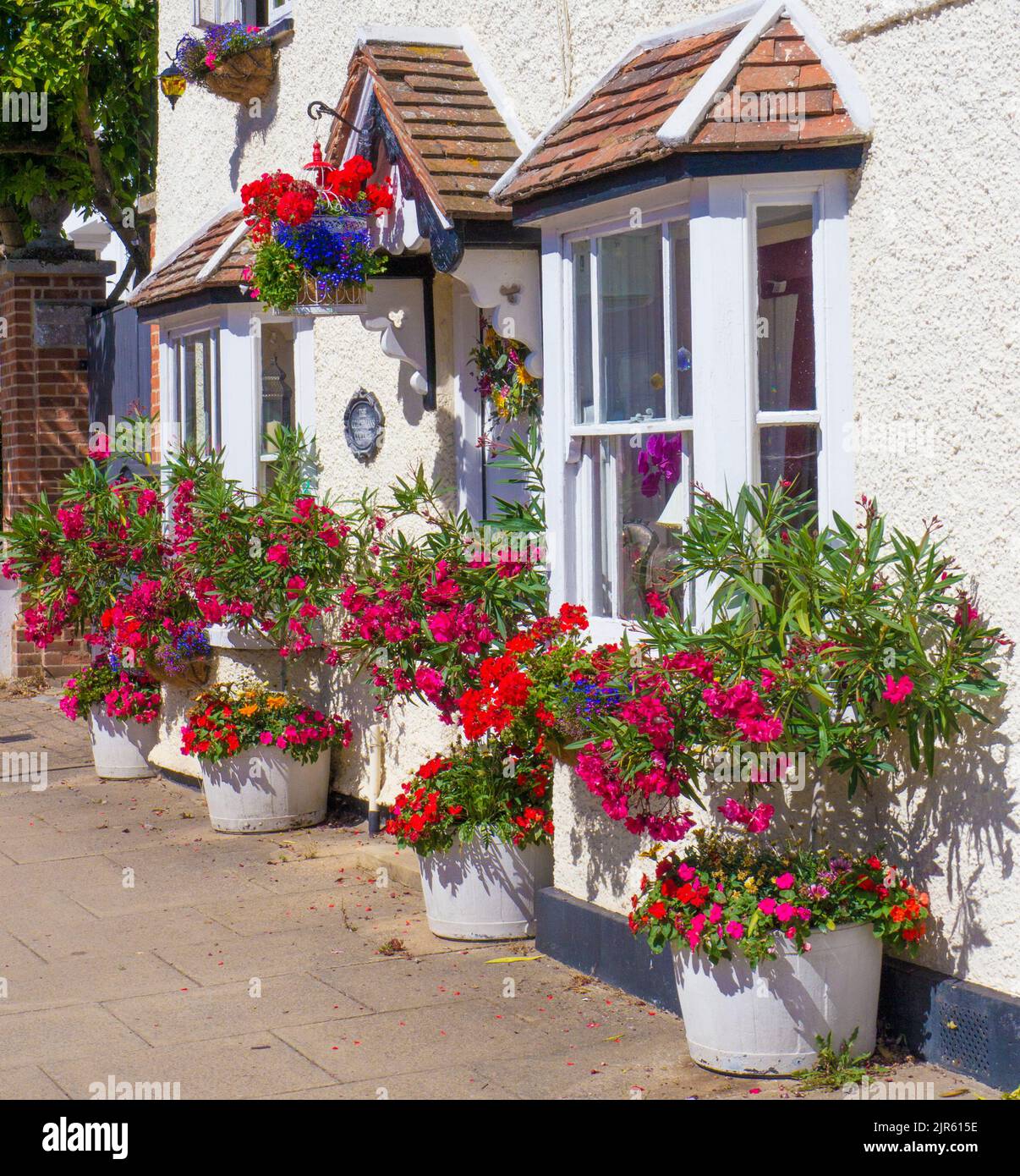Odiham, Village Cottage mit bunten Blumentöpfen Stockfoto