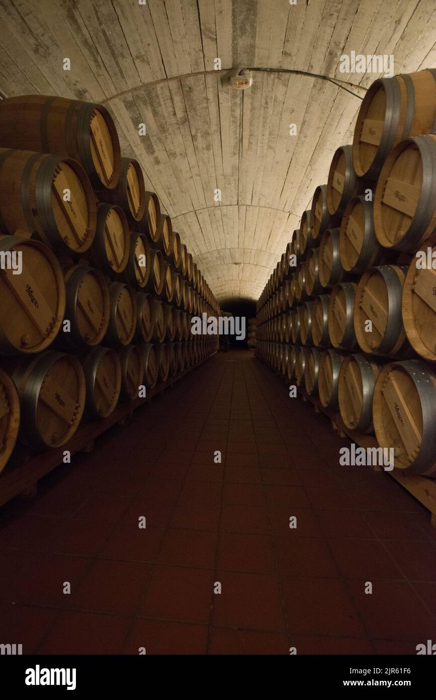 Besuch der Bodegas Muga in Haro, La Rja Stockfoto