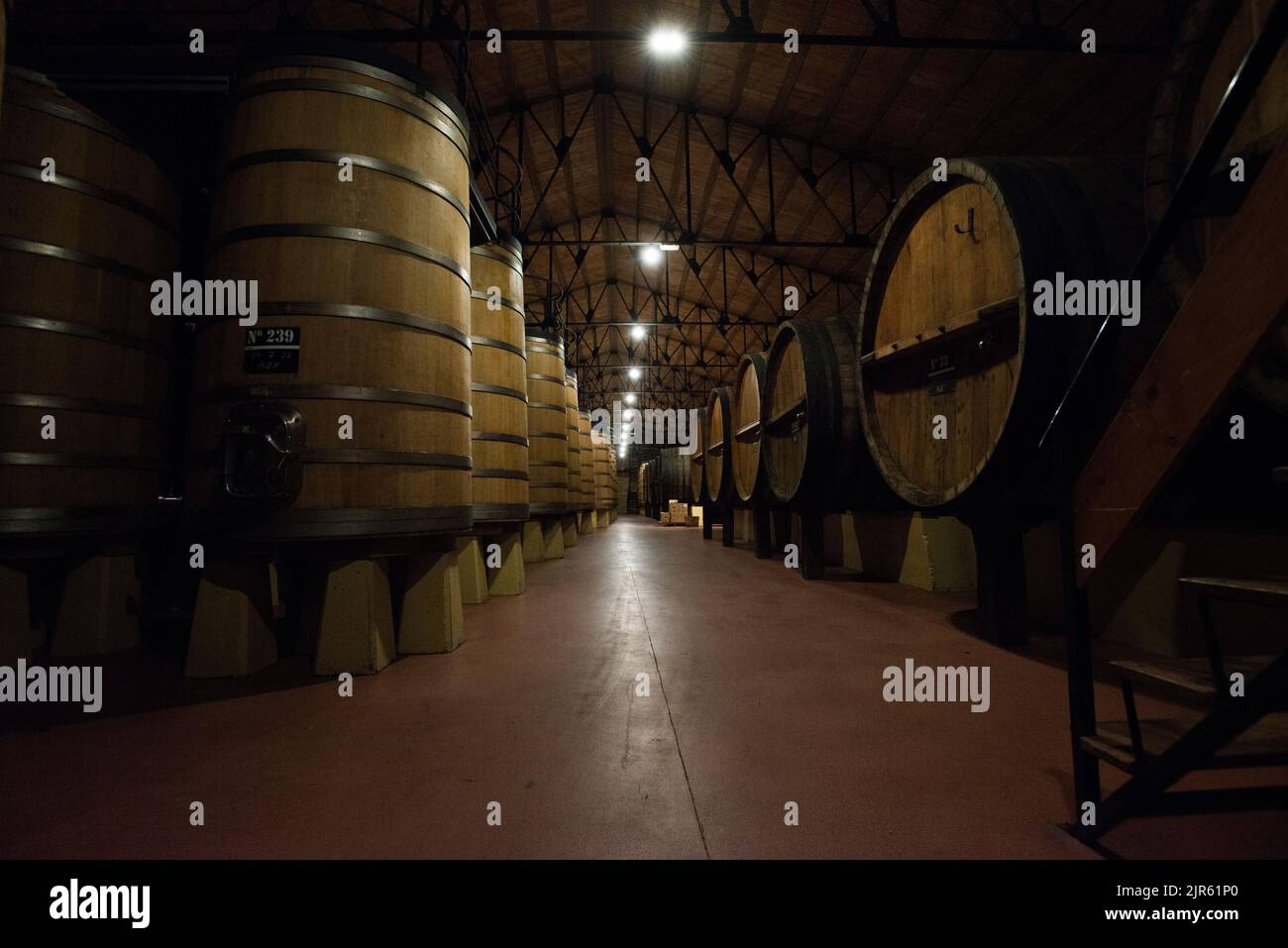 Besuch der Bodegas Muga in Haro, La Rja Stockfoto