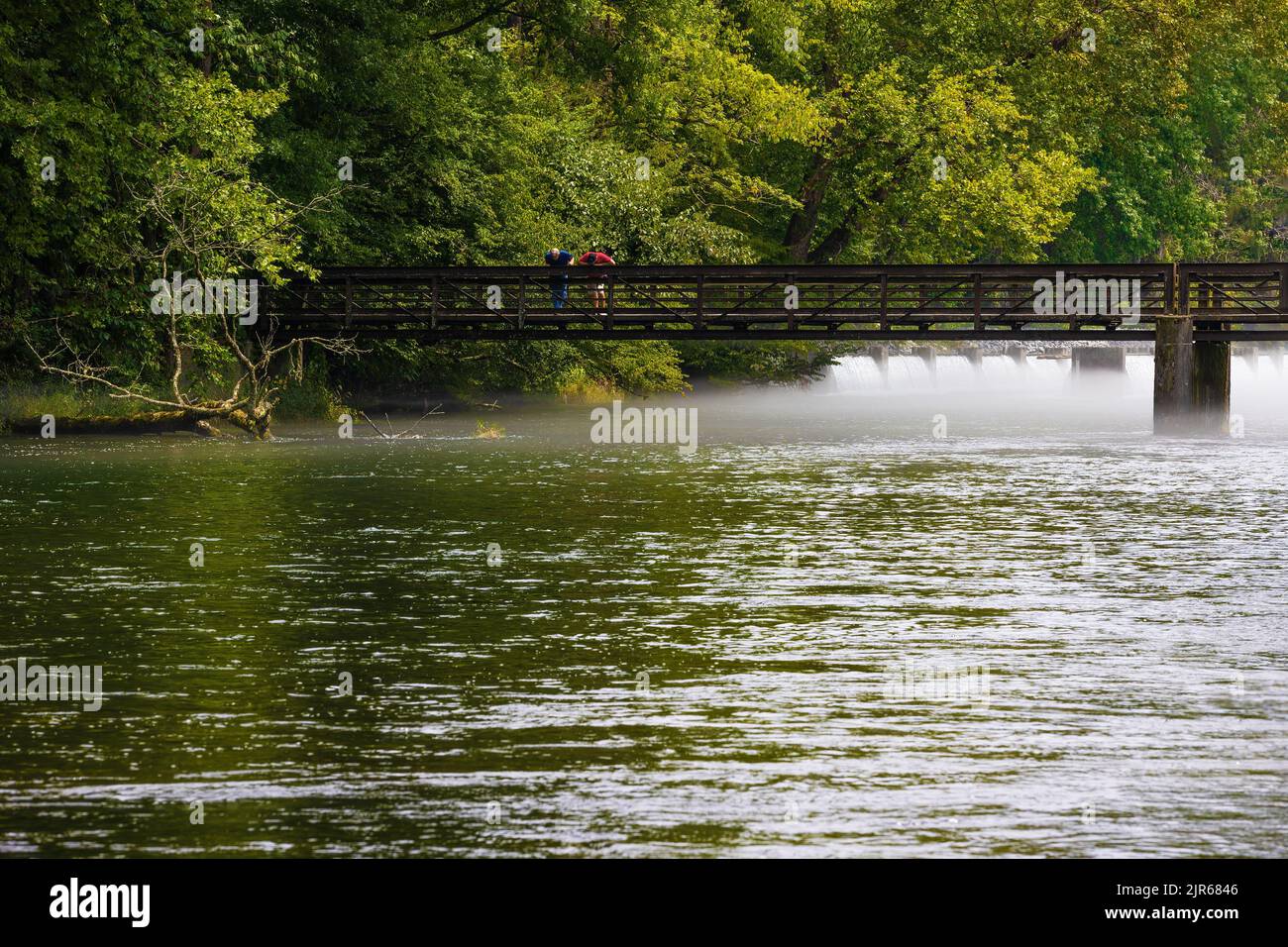 Zwei Männer stehen auf einer Brücke über den South Holston River, als der Sommernebel verschwindet. Stockfoto