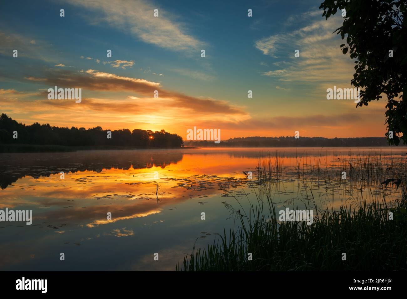 Pastorallandschaft mit dramatischem Himmel am Ufer des Sees in Weißrussland Stockfoto