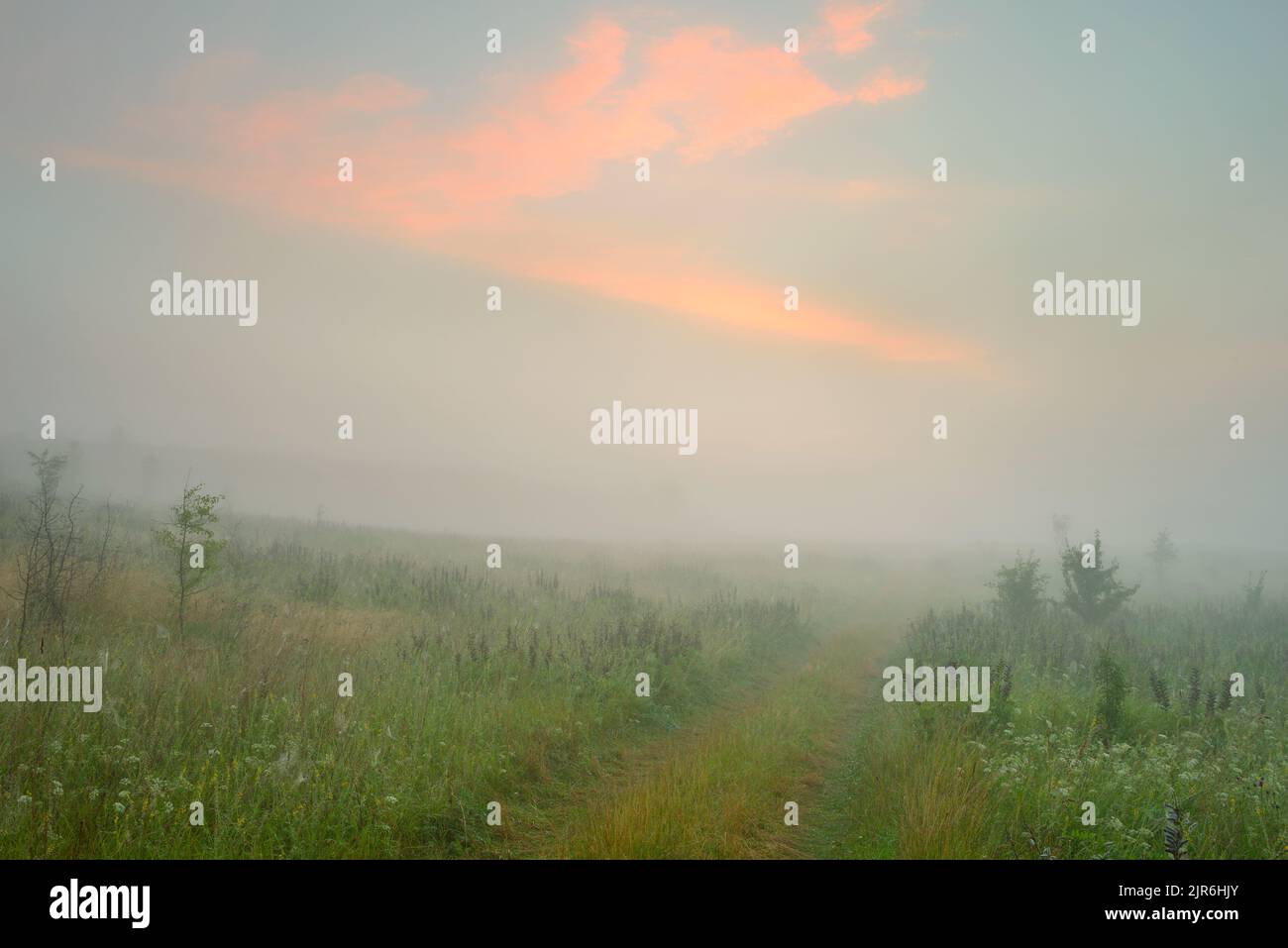 Ruhige Landschaft im Nebel - die Ufer des Otolovo-Sees in Weißrussland Stockfoto
